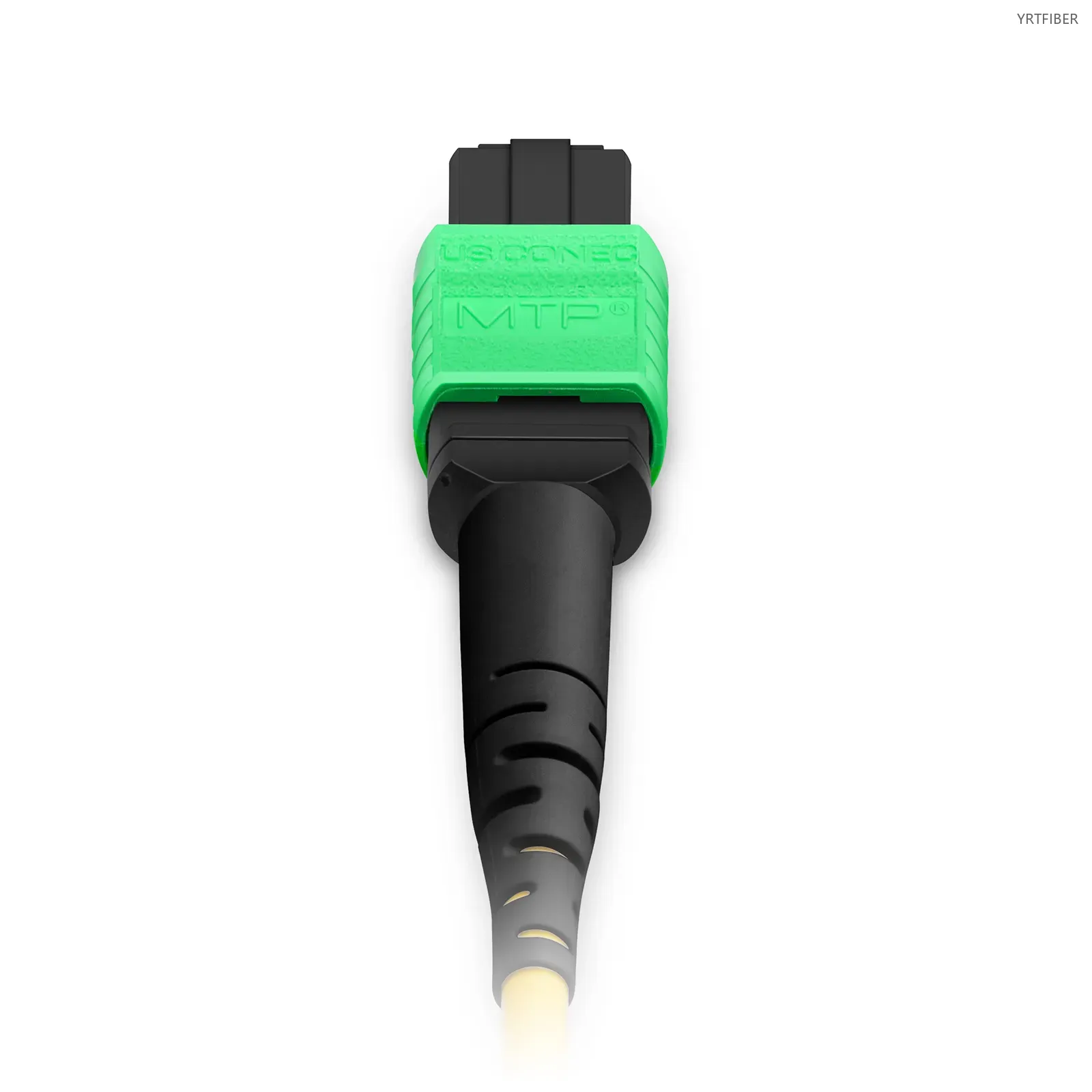 MTP to MTP High-Density Fiber Patch Cord – 8/12/24 Fibers, Multimode & Singlemode, OFNP