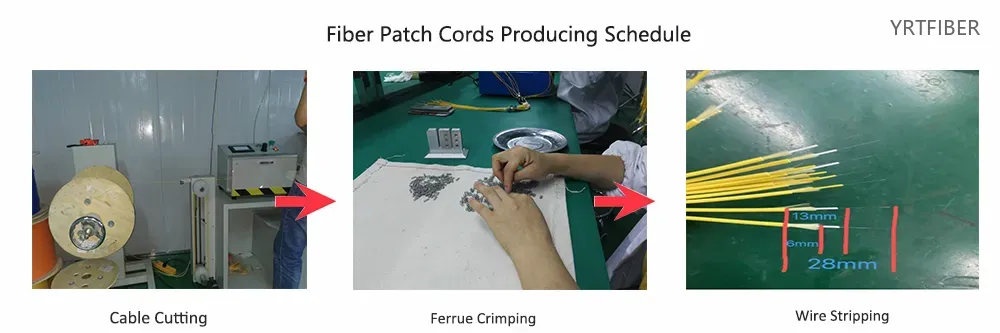 MTP to MTP High-Density Fiber Patch Cord – 8/12/24 Fibers, Multimode & Singlemode, OFNP(Image1)